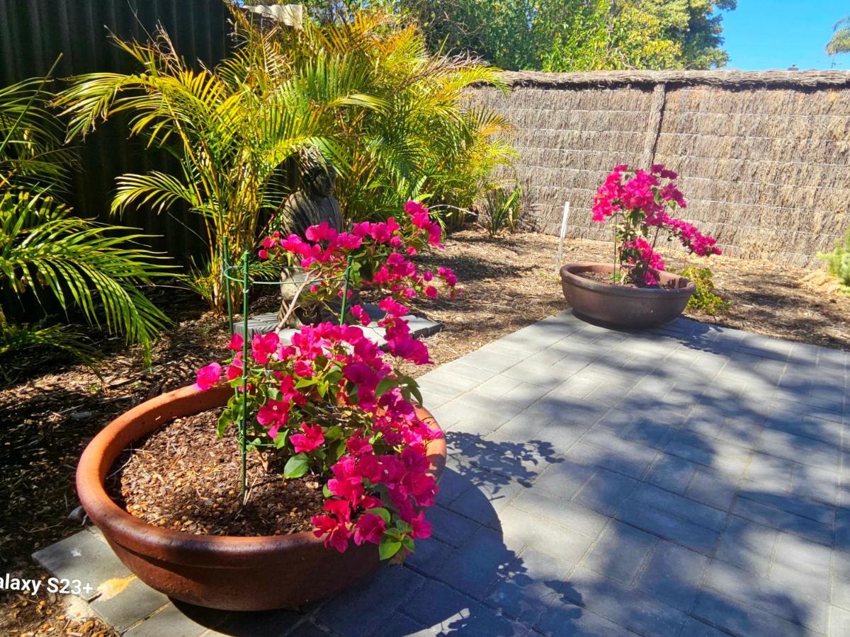 Tranquil Gumnut Cottage - Close To Airport Perth Exterior foto